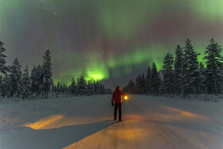 Harriniva - Polarlichtzauber in Lappland ©Paolo Graziosi/istock